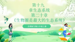 蘇教版生物八年級(jí)上冊(cè)第十九章《生態(tài)系統(tǒng)》、第二十章《生物圈是最大的生態(tài)系統(tǒng)》（考點(diǎn)串講課件）