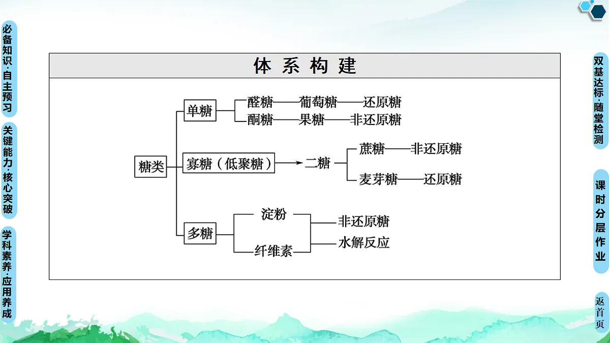 第4章 第1节 糖类 课件【新教材】人教版(2019)高中化学选择性必修3第3页