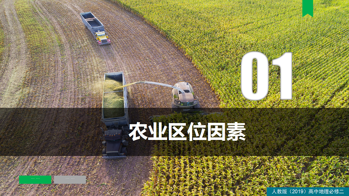人教版高中地理必修 第二册 3-1农业区位因素及其变化 课件第8页