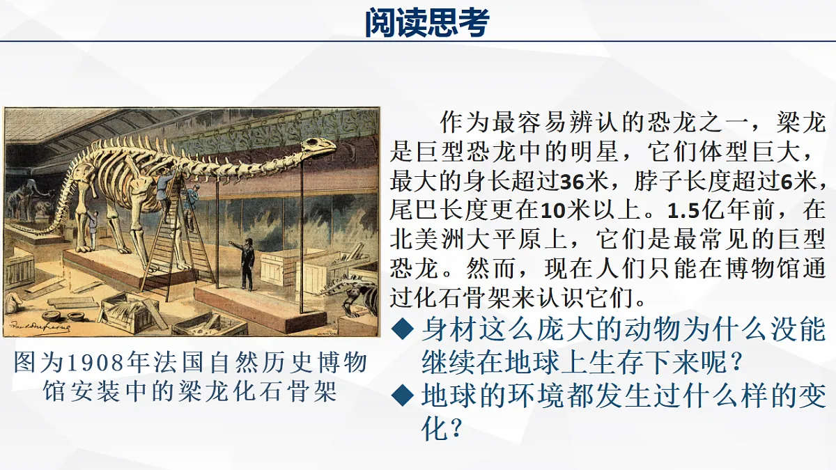 人教版高中地理 必修 第一册 1-3《地球的历史》课件第3页