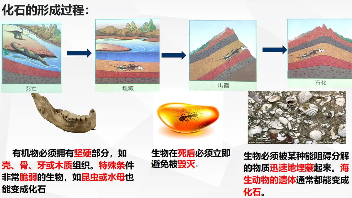 人教版高中地理 必修 第一册 1-3《地球的历史》课件第7页