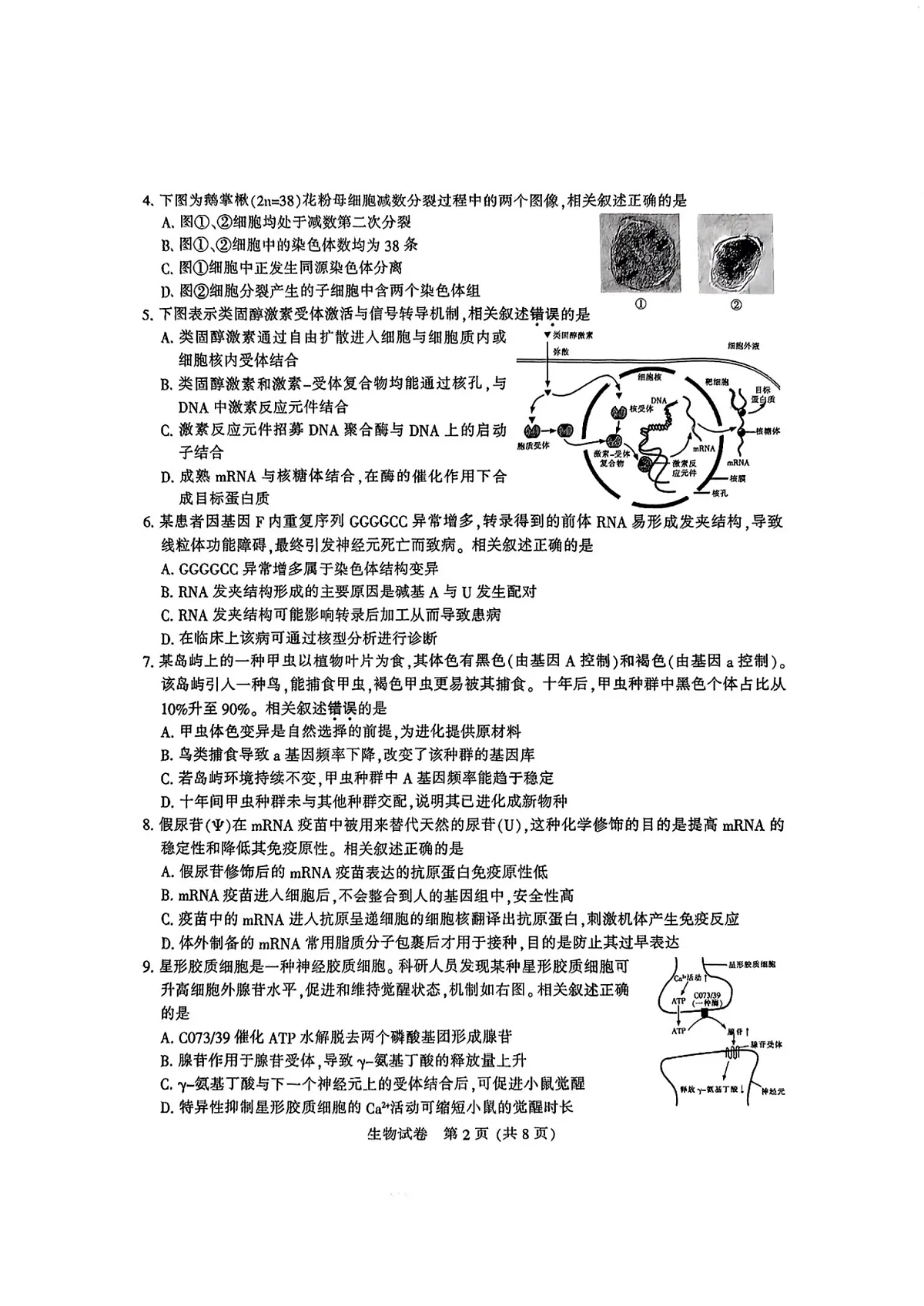 生物第2页
