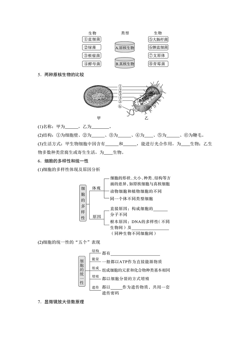 第一章 走進(jìn)細(xì)胞綜合講義 (學(xué)生版)第3頁(yè)