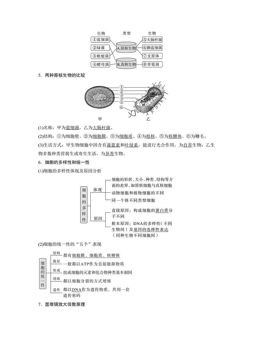 第一章 走進(jìn)細(xì)胞綜合講義(教師版)第3頁(yè)