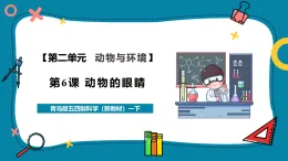 【核心素養(yǎng)公開(kāi)課】青島版(五四制)科學(xué)一年級(jí)下冊(cè)2.6《動(dòng)物的眼睛》課時(shí)課件+同步教學(xué)設(shè)計(jì)+素材