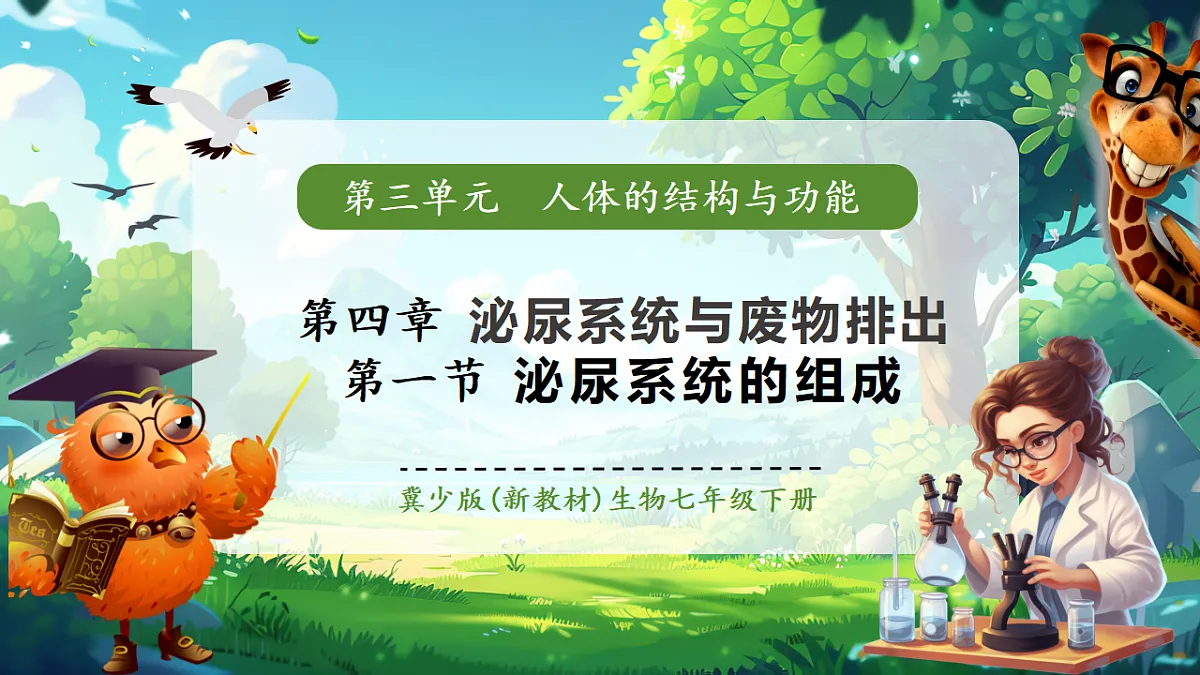 【核心素养】冀少版生物七下3.4.1泌尿系统的组成 课件(共23张PPT)第1页