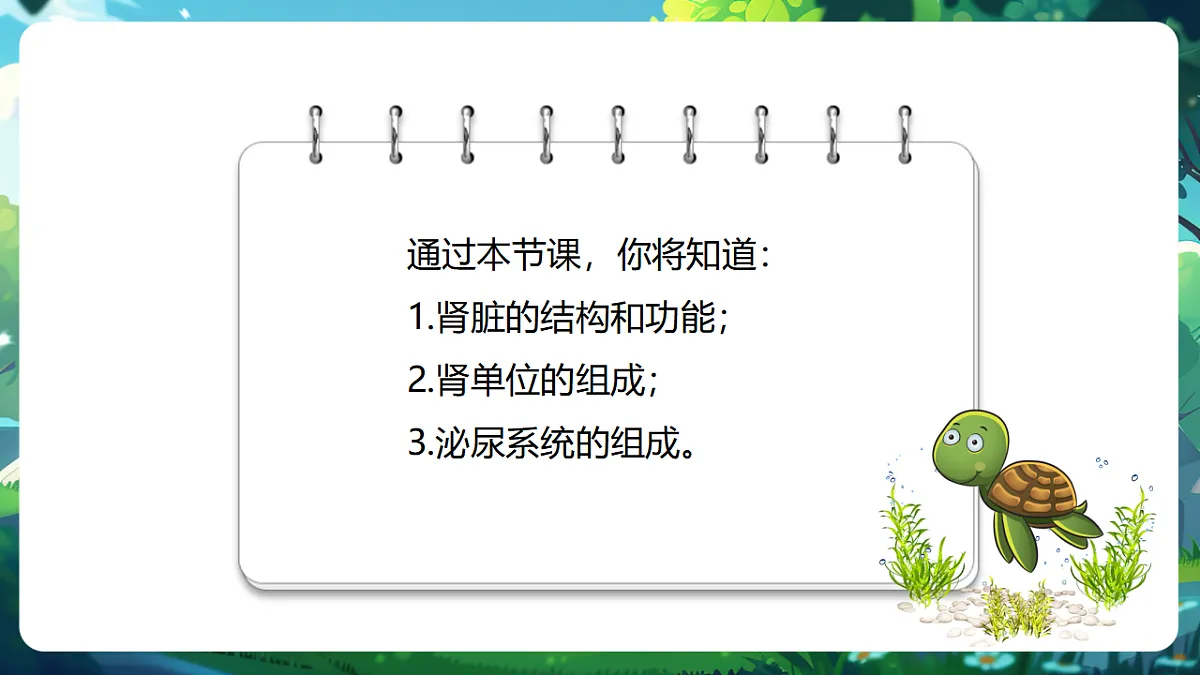 【核心素养】冀少版生物七下3.4.1泌尿系统的组成 课件(共23张PPT)第3页