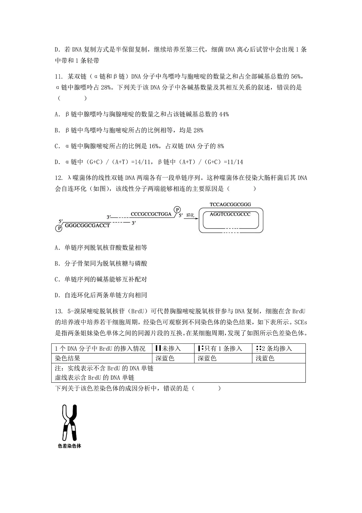 (人教版)2024-2025高一下学期生物(第3章 基因的本质)综合测试卷及答案第3页