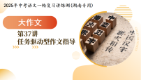 第37讲 任务驱动型作文（课件）2025年中考语文一轮复习讲练测