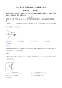 2025届北京市通州区高三上学期期末考试物理试题  （解析版）