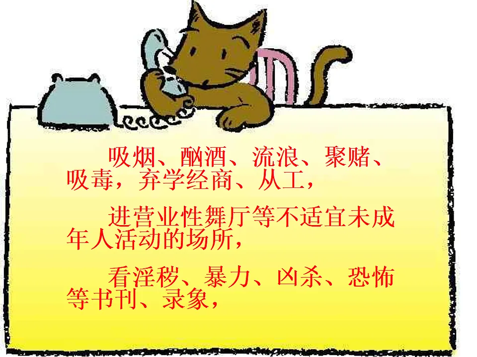 广东省茂名市高州市石鼓镇初级中学-八年级主题班会-法制在身边【课件】第4页