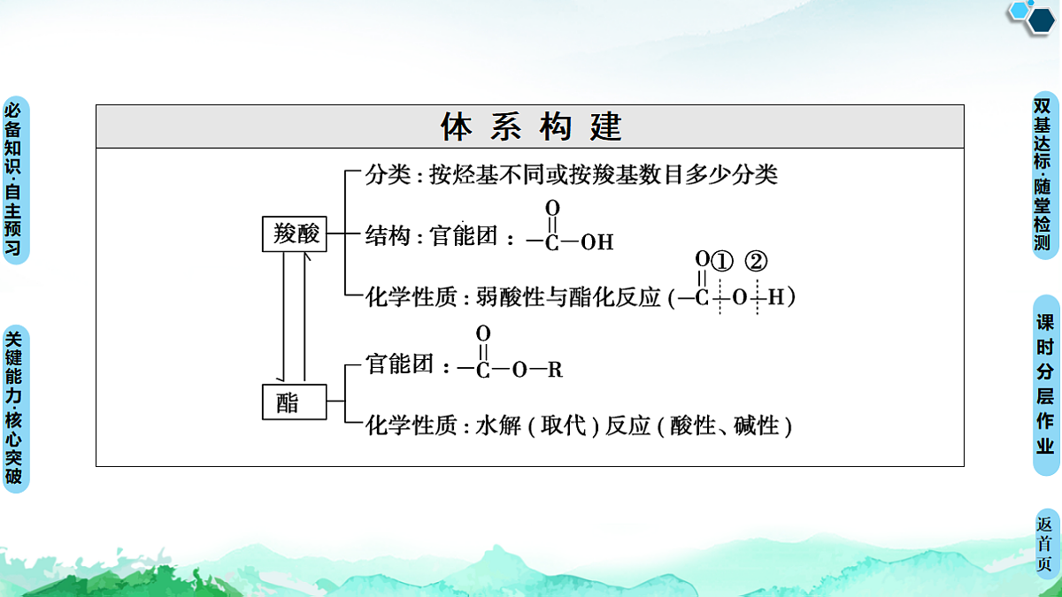 第3章 第4节 第1课时 羧酸 酯 课件【新教材】人教版(2019)高中化学选择性必修3第3页