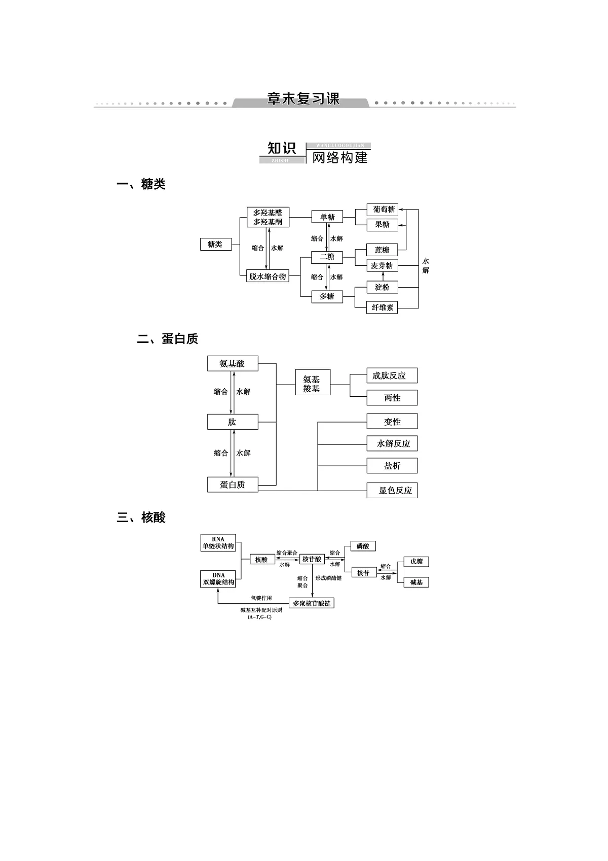 第4章 章末复习课 讲义【新教材】人教版(2019)高中化学选择性必修3第1页