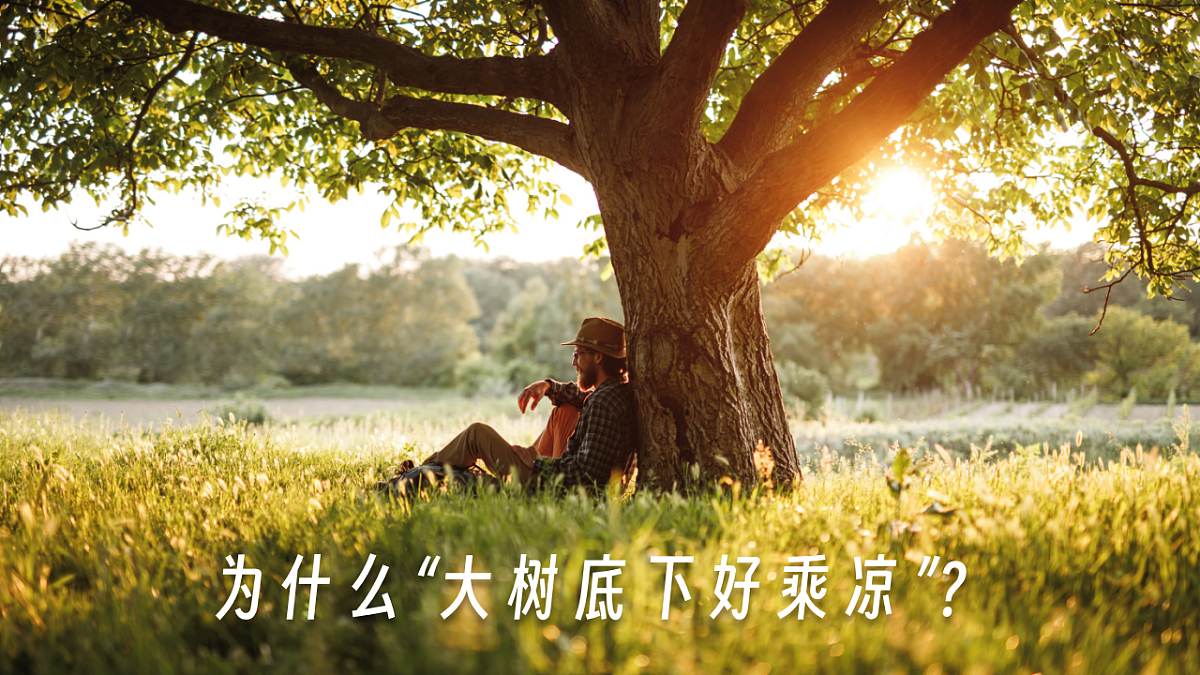 16869161第5页