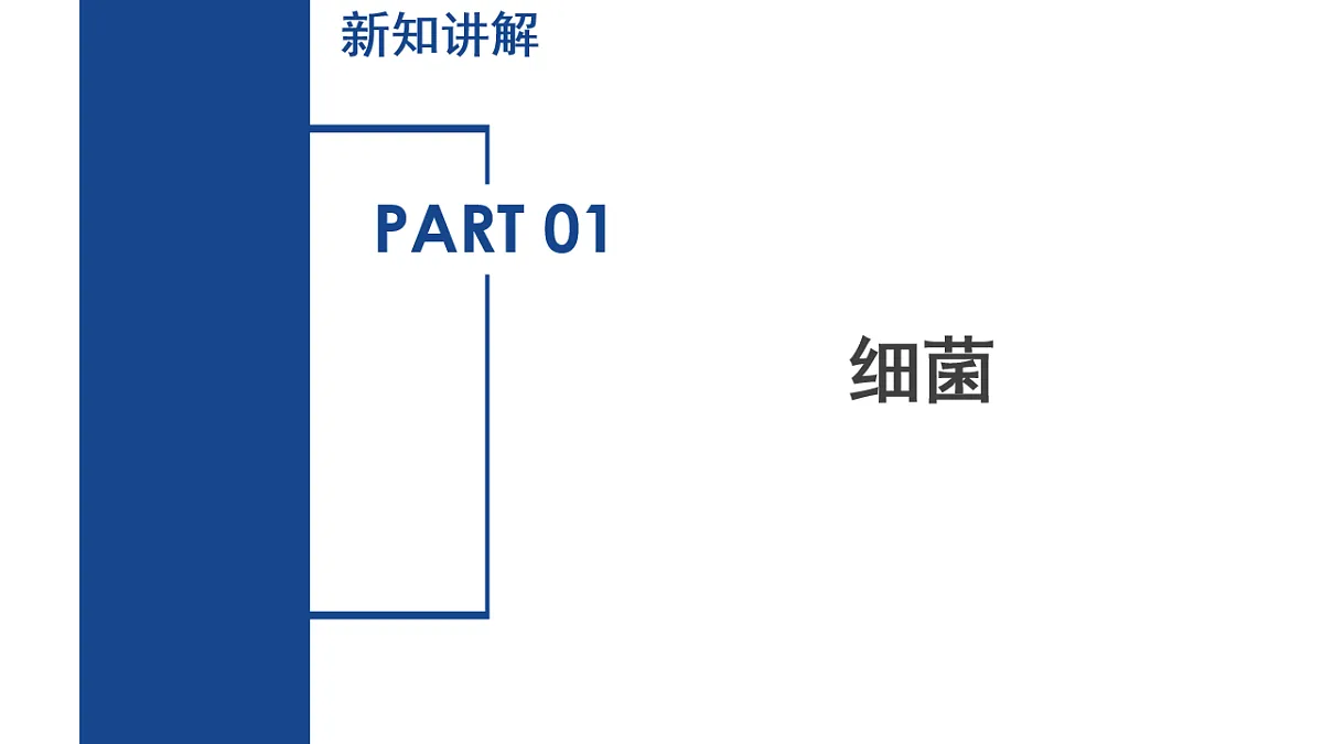 1.4 微生物的结构与生殖(第1课时)七年级科学下册同步备课系列(浙教版)课件第5页