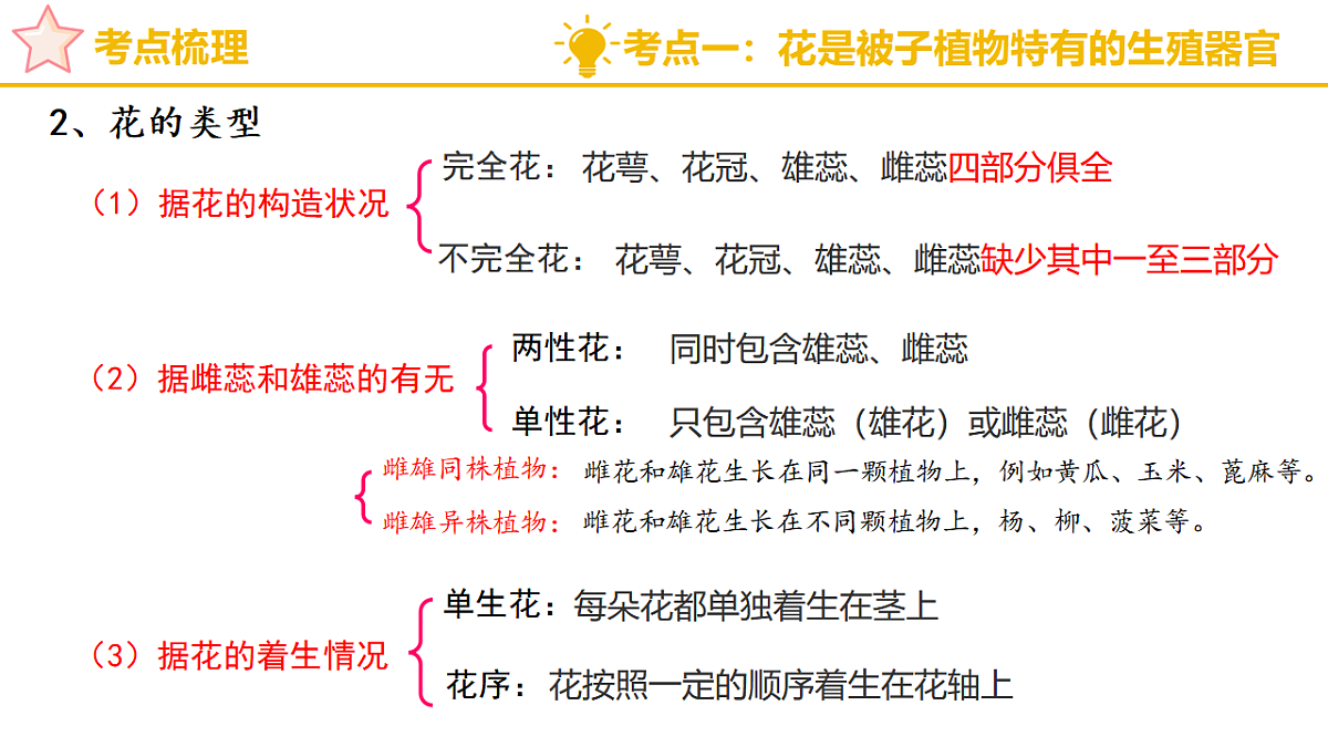 专题二 开花结果是被子植物的显著特征 2025学年七年级生物下学期期中考点大串讲(济南版2024)课件第5页