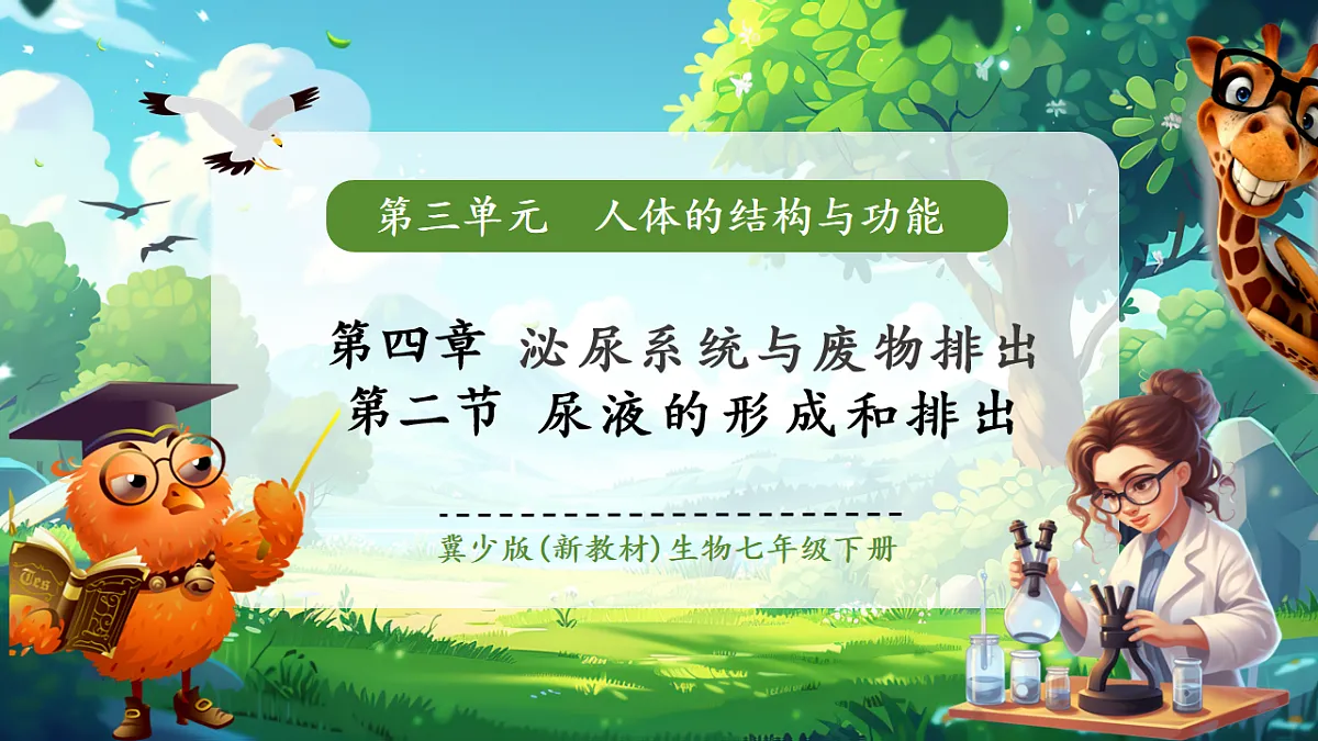 【核心素养】冀少版(新教材)生物七下 3.4.2尿液的形成和排出 课件(共31张PPT)+视频素材第1页