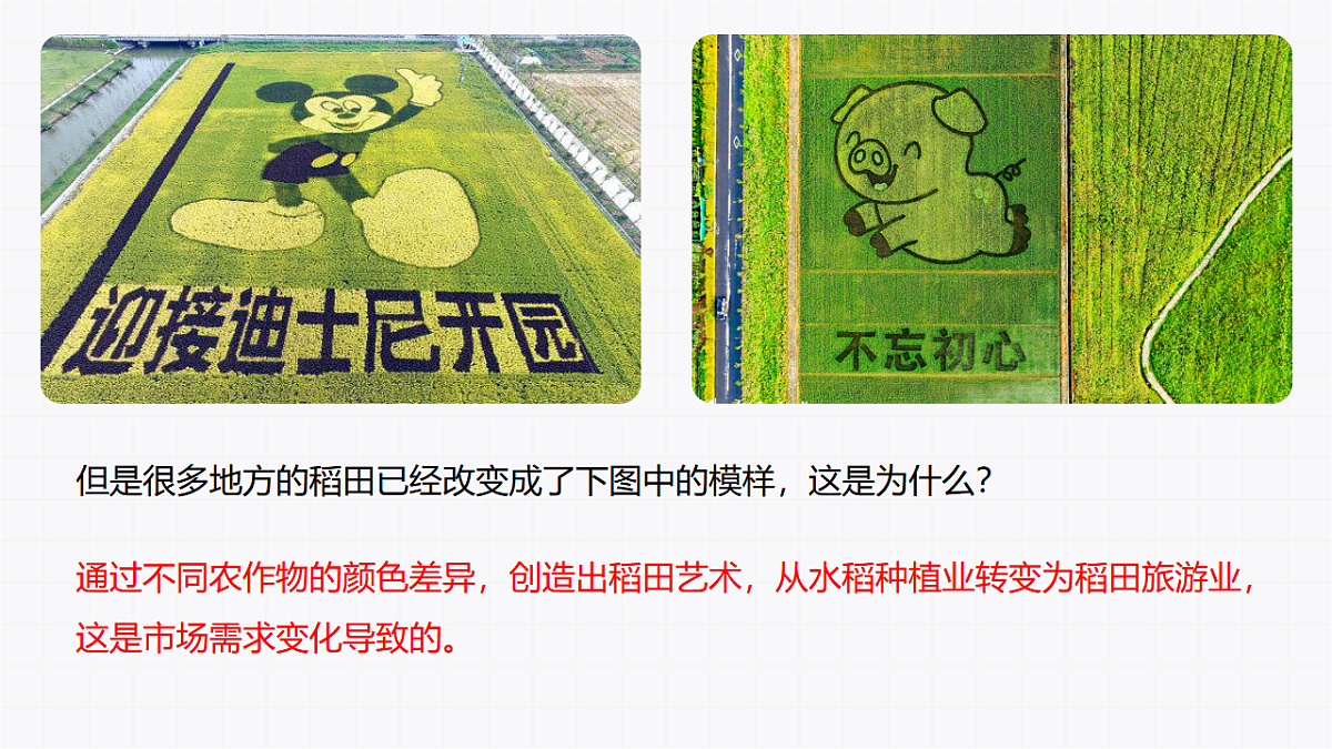16900396第3页