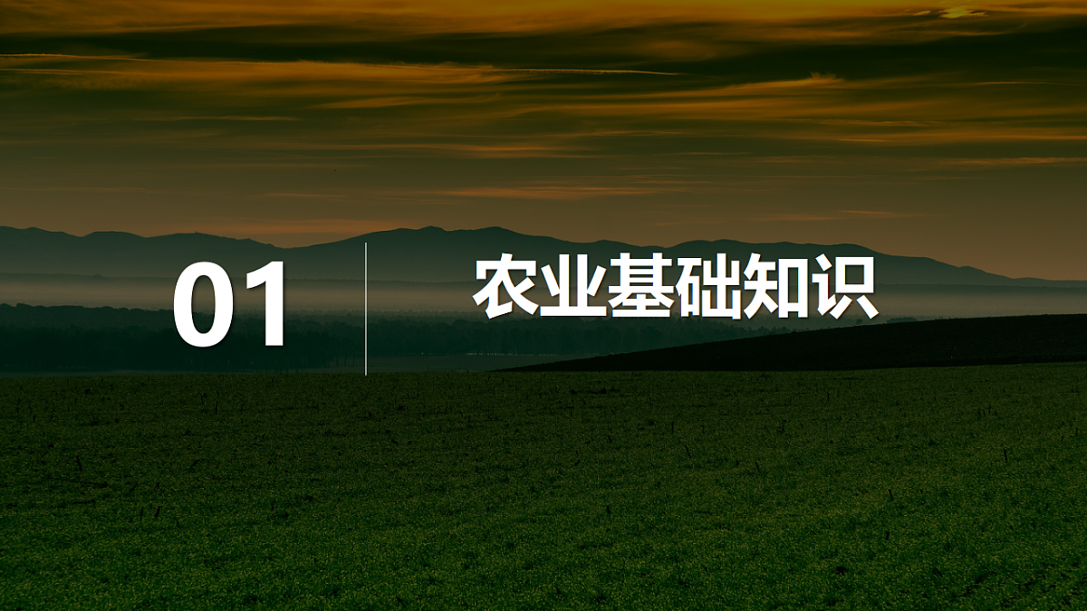 16900396第5页
