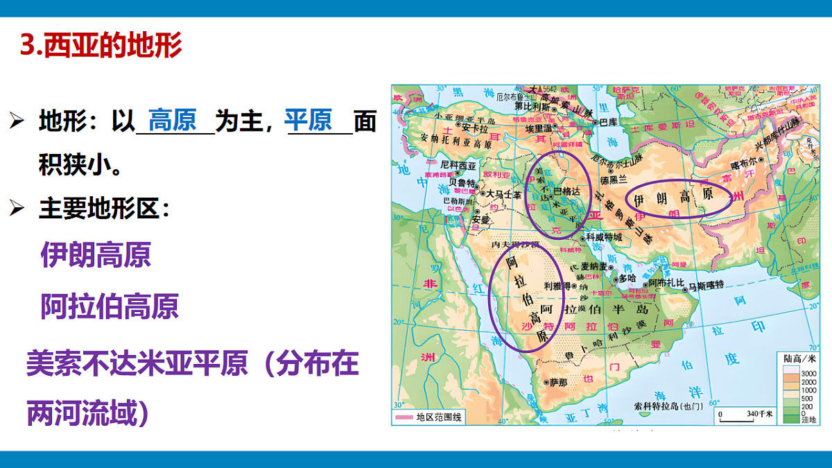 16901441第8页