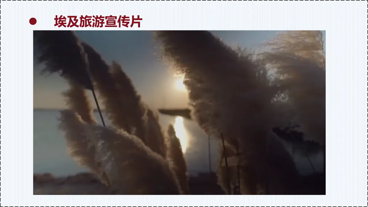 第八单元 主题活动八 - 初中七年级地理下册 同步教学课件(粤教粤人版2024)第8页