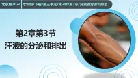 初中生物第3节 汗液的分泌及排出教课内容ppt课件