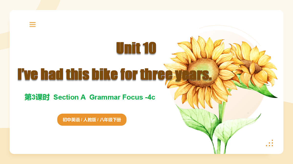 Unit 10 第3课时 Section A Grammar Focus-4c(同步课件)-2024-2025学年八年级英语下册(人教版)第1页
