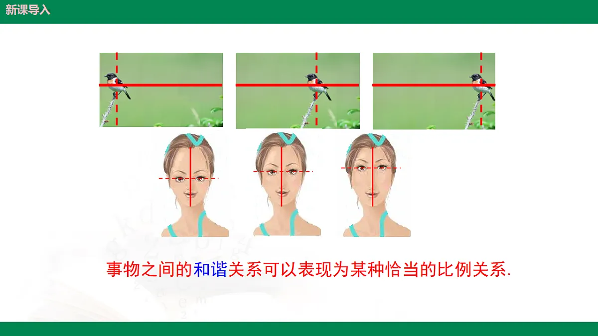 9.6黄金分割(同步课件)2025学年八年级数学下册同步精品课堂(鲁教版)第8页