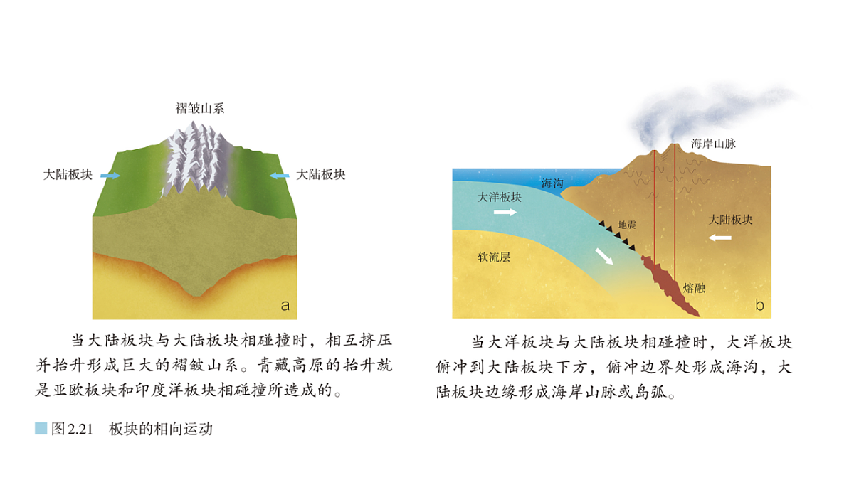 16986949第8页
