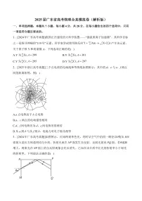 2025届广东省高考物理全真模拟卷（解析版）