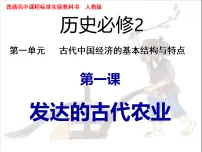 高中历史人教版 (新课标)必修2 经济史发达的古代农业教课内容课件ppt