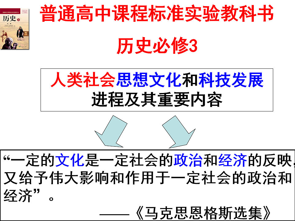 17009181第3页