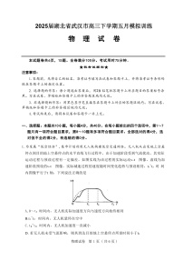 2025届湖北省武汉市高三下学期五月模拟训练物理试题（解析版）
