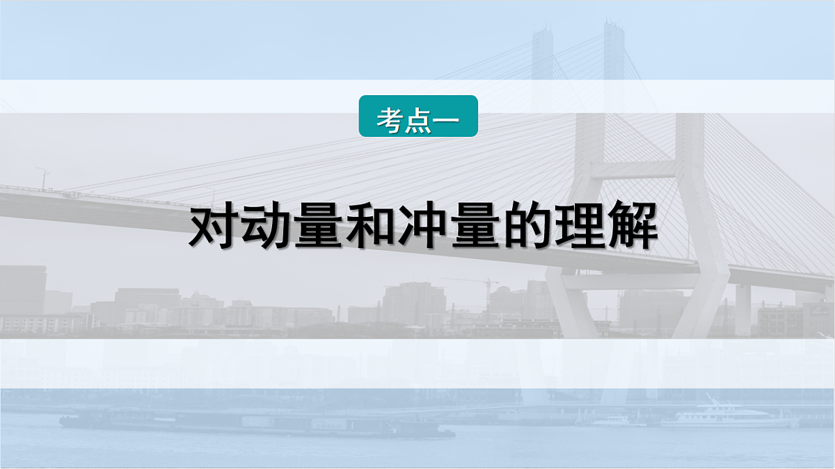 17046238第8页