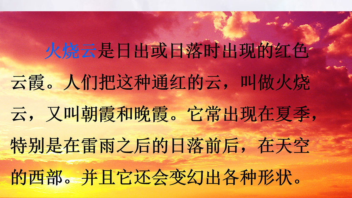 17047691第7页