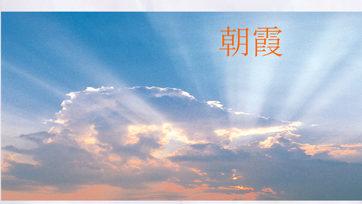 17047691第8页
