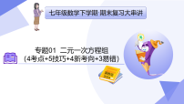 专题01+二元一次方程组（4考点+5技巧+4新考向+3易错）2025学年七年级数学下学期期末考点大串讲课件