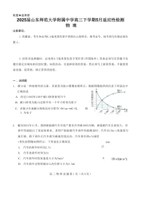 2025届山东师范大学附属中学高三下学期5月适应性检测物理试题（解析版）