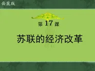 岳麓版高中歷史必修2 3-17《蘇聯(lián)的經(jīng)濟(jì)改革》課件