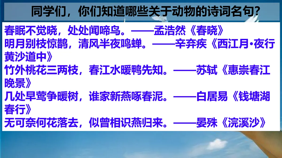 新人教部编版语文七上 5-18《我的白鸽》 课件第1页