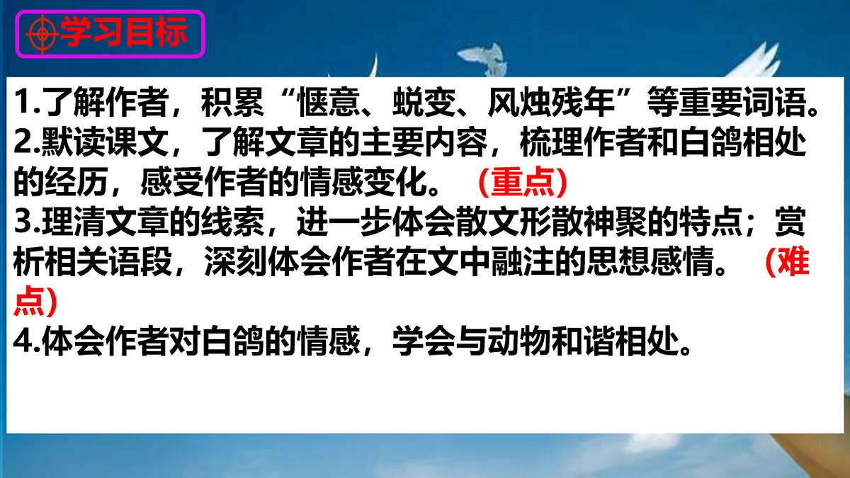 新人教部编版语文七上 5-18《我的白鸽》 课件第3页