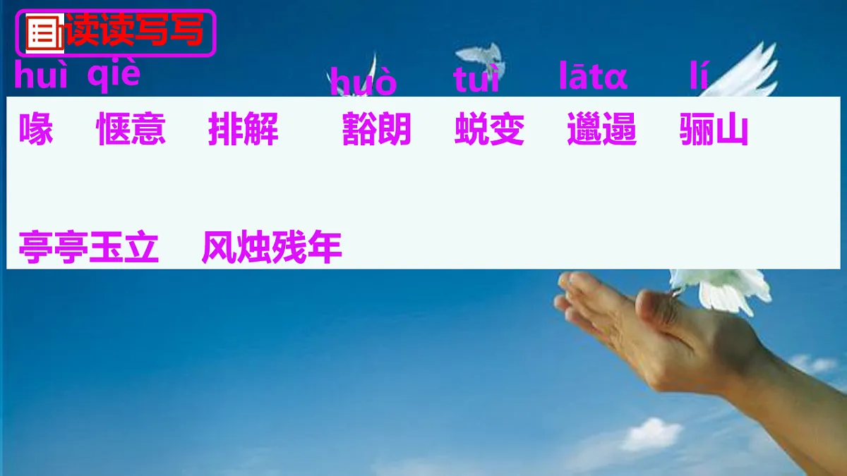 新人教部编版语文七上 5-18《我的白鸽》 课件第6页