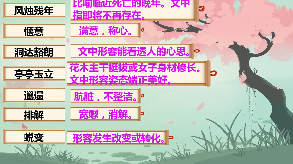 新人教部编版语文七上 5-18《我的白鸽》 课件第7页