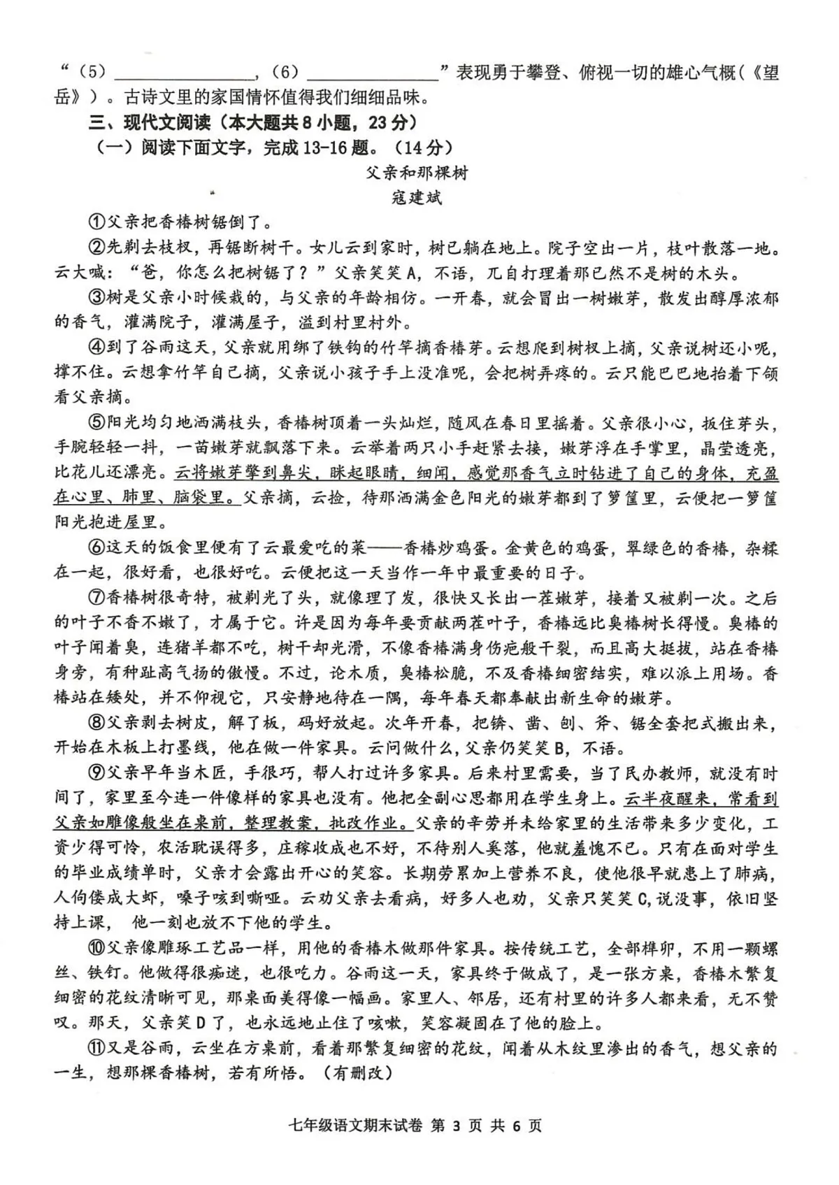 江西省宜春市2024-2025学年七年级下学期期末考试语文试题第3页