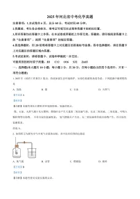 2025年河北省中考化学真题（解析版）