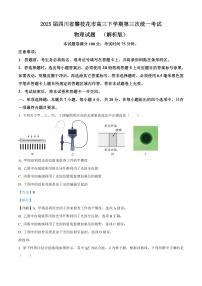 2025届四川省攀枝花市高三下学期第三次统一考试物理试题  （解析版）