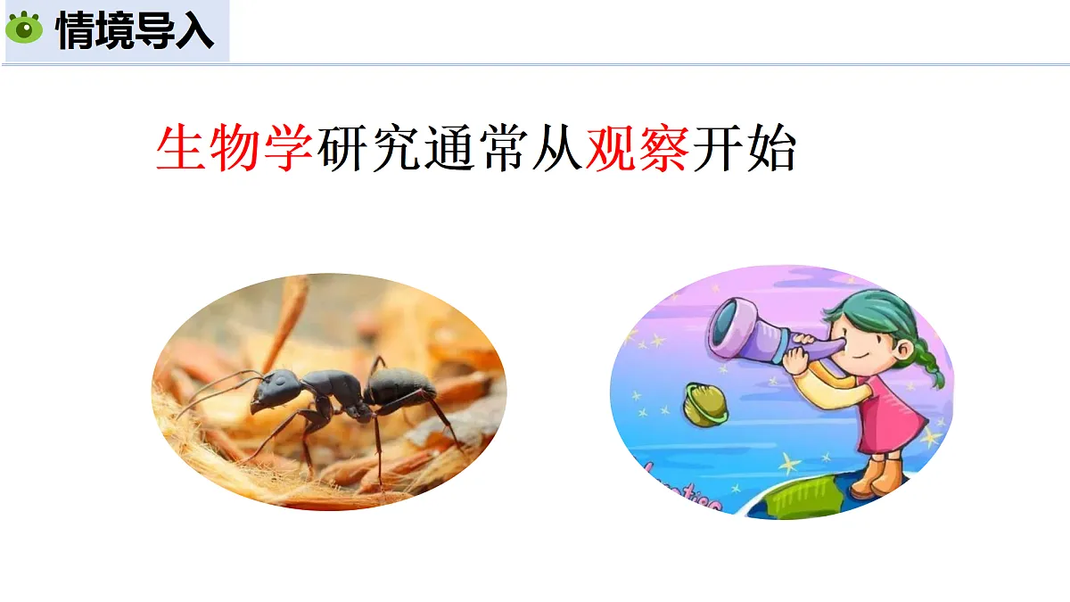 1.1.2 生物学的研究方法 第1课时 观察法和调查法(教学课件)-2025-2026学年七年级生物上册(北京版2024)第6页