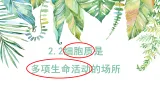 2.3 细胞质是多项生命活动的场所（教学课件）-2025-2026学年高中生物必修1（浙科版2019）