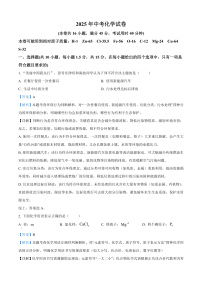 2025年广东省深圳市中考化学真题（原卷版+解析版）
