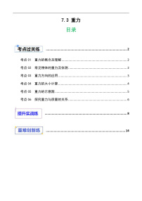 初中物理京改版（2024）八年级全册（2024）重力精品课时练习